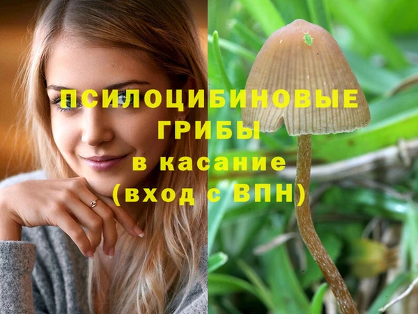стафф Балахна