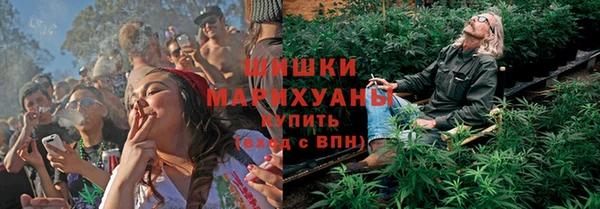 гидра Баксан