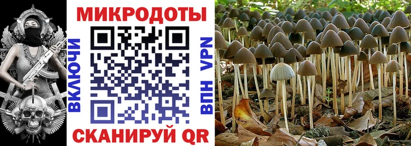 Галлюциногенные грибы мицелий  наркотики  Вяземский 
